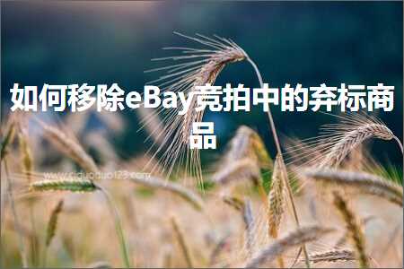 跨境电商知识:如何移除eBay竞拍中的弃标商品